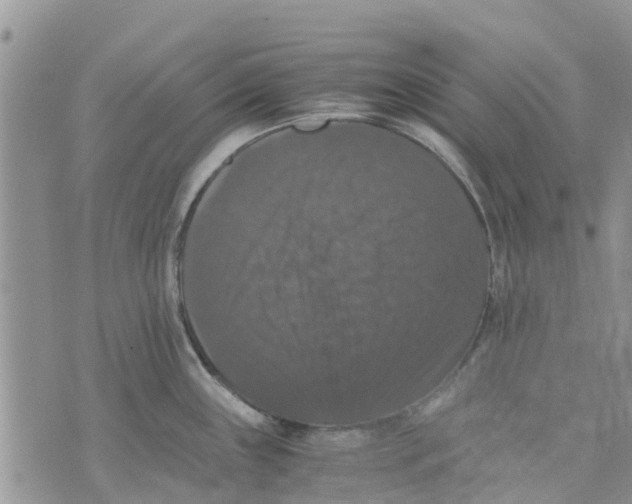 X0000070251243200606301618