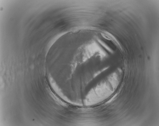 X0000070251244200606301618