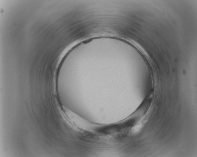 X0000070251246200606301618