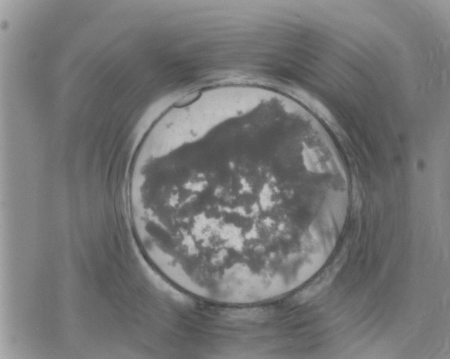 X0000070251247200606301618