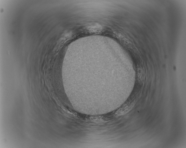 X0000070251249200606301617