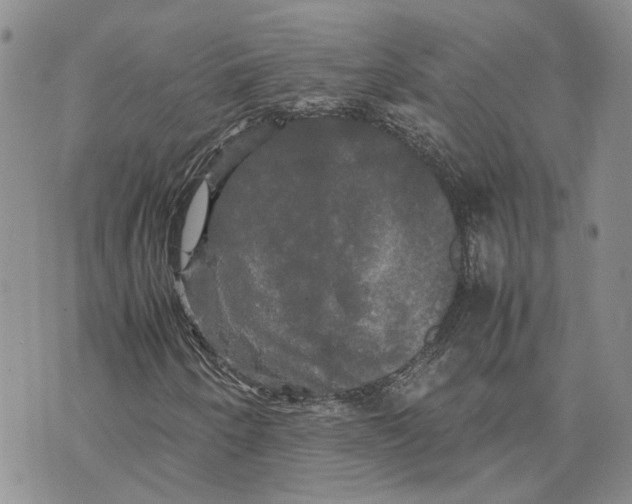 X0000070251250200606301617