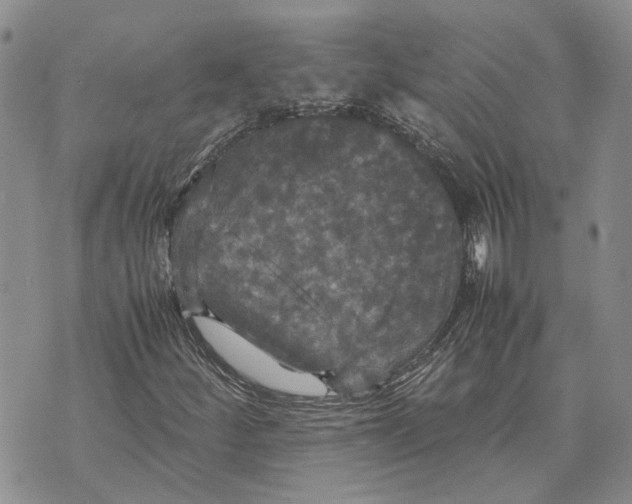 X0000070251252200606301617