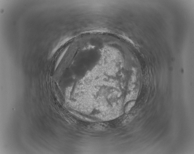 X0000070251255200606301617