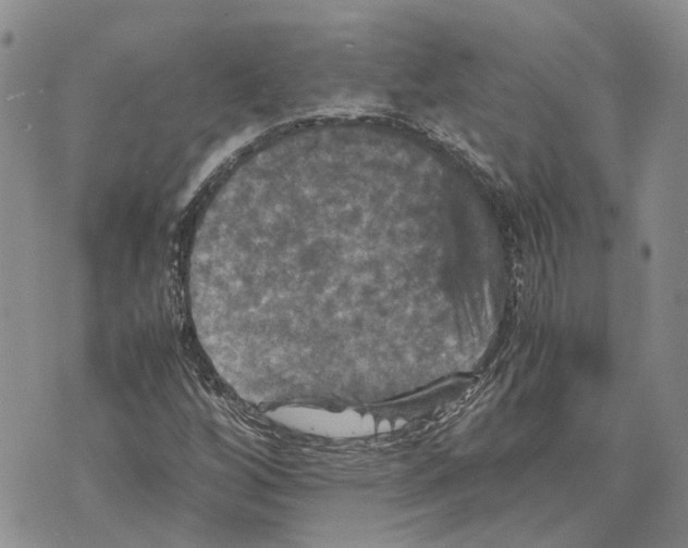 X0000070251256200606301617