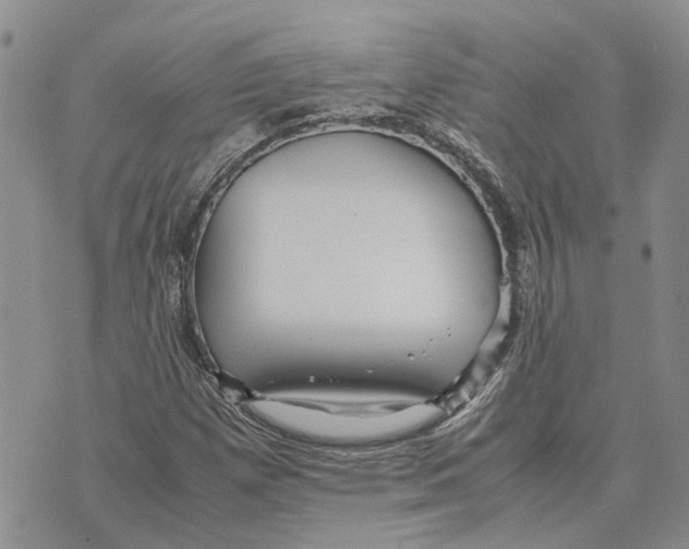 X0000070251257200606301617