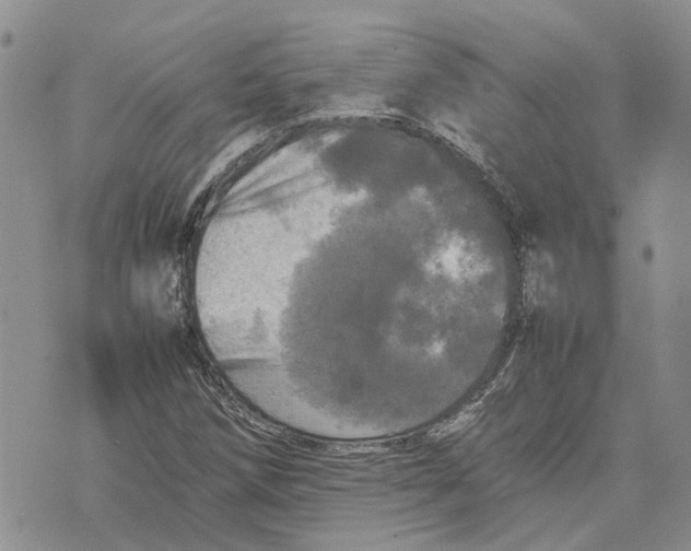 X0000070251258200606301617