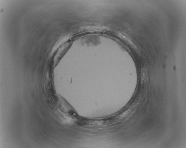 X0000070251261200606301617