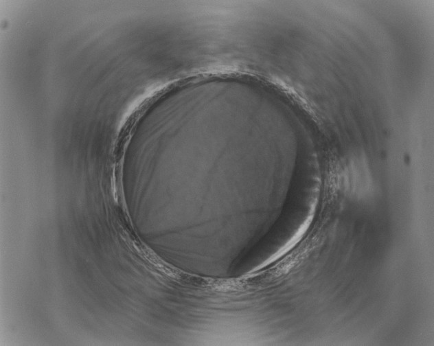 X0000070251262200606301617