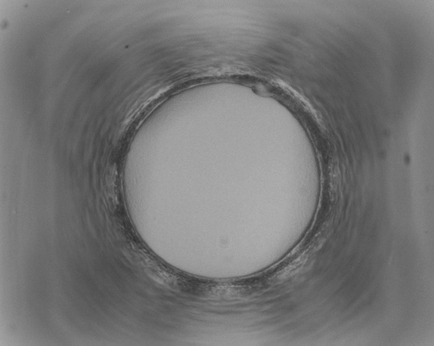 X0000070251265200606301617