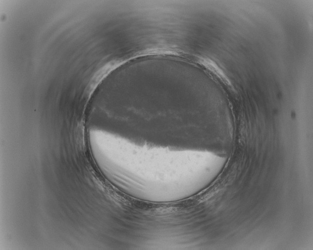 X0000070251268200606301617