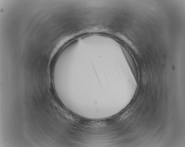 X0000070251270200606301617