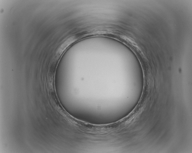 X0000070251273200606301617