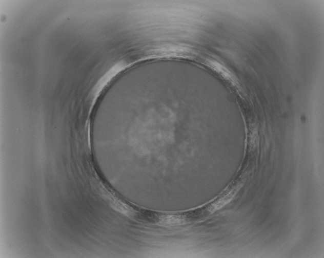 X0000070251275200606301617