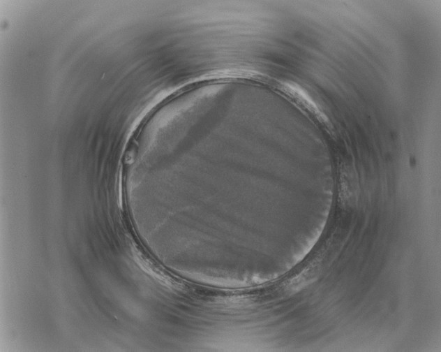 X0000070251276200606301617