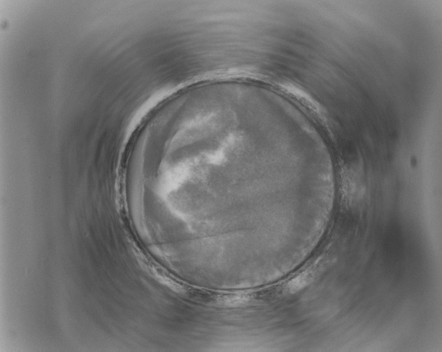 X0000070251278200606301617