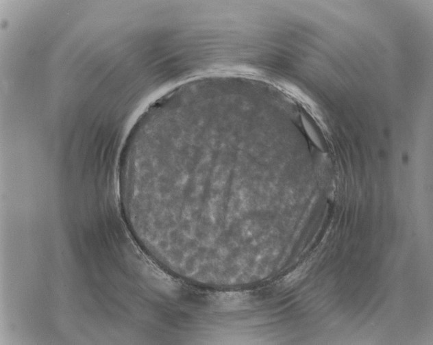 X0000070251280200606301617