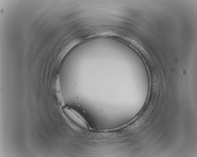 X0000070251281200606301616