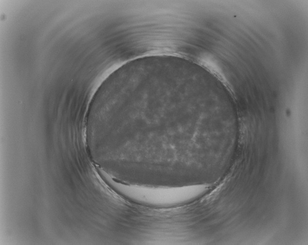 X0000070251284200606301616