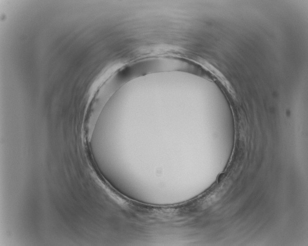 X0000070251285200606301616