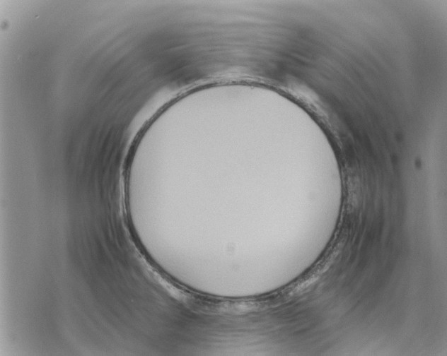 X0000070251286200606301616