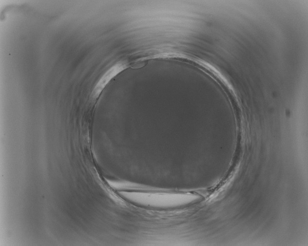 X0000070251289200606301616