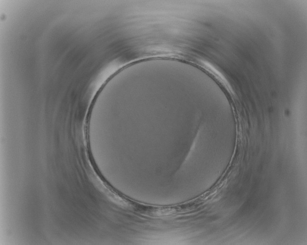 X0000070251291200606301616