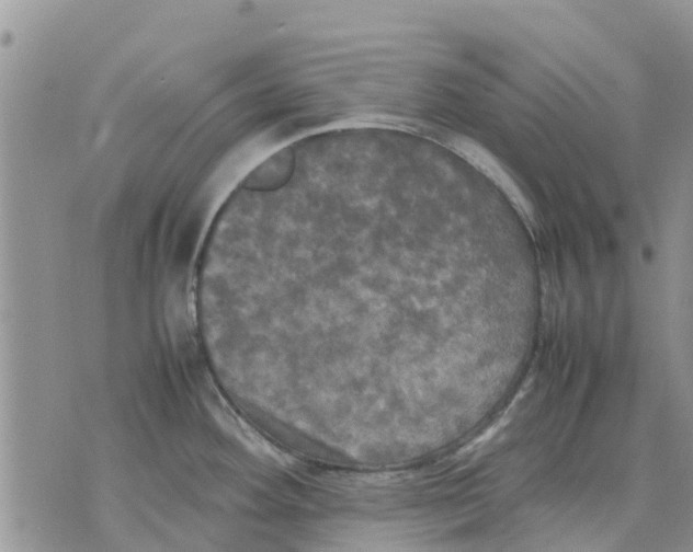 X0000070251292200606301616