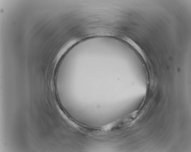 X0000070251293200606301616