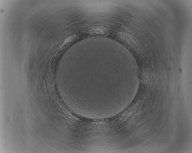 X0000070251297200606301615