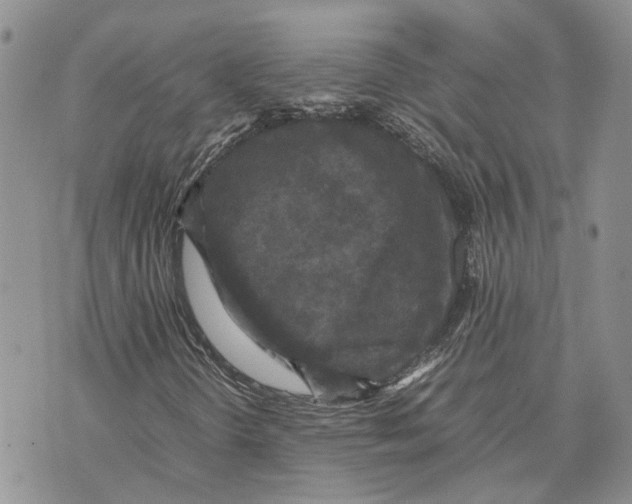 X0000070251298200606301615