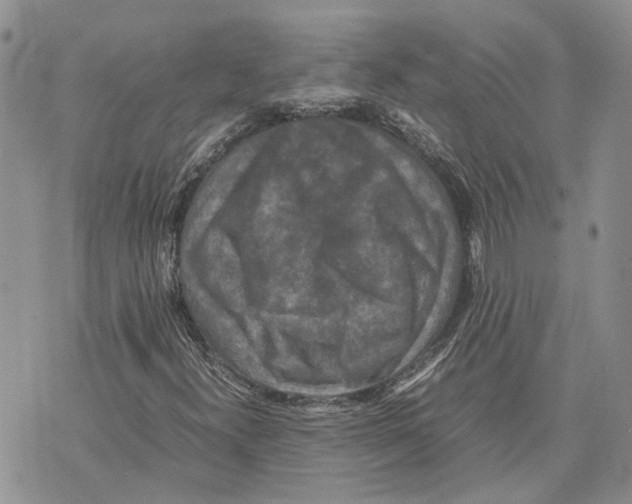 X0000070251300200606301616