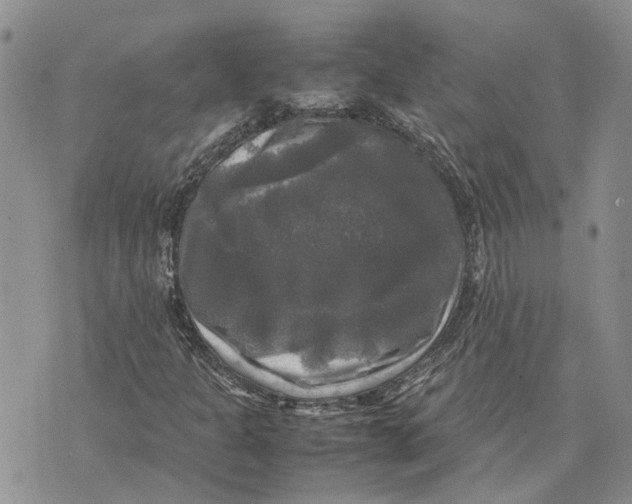 X0000070251301200606301616