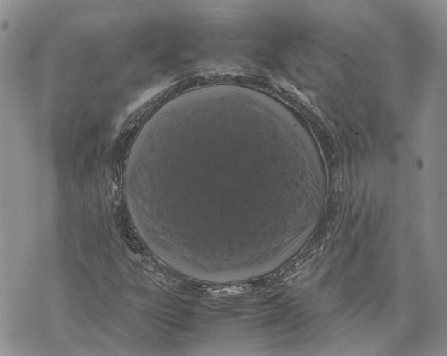 X0000070251303200606301616