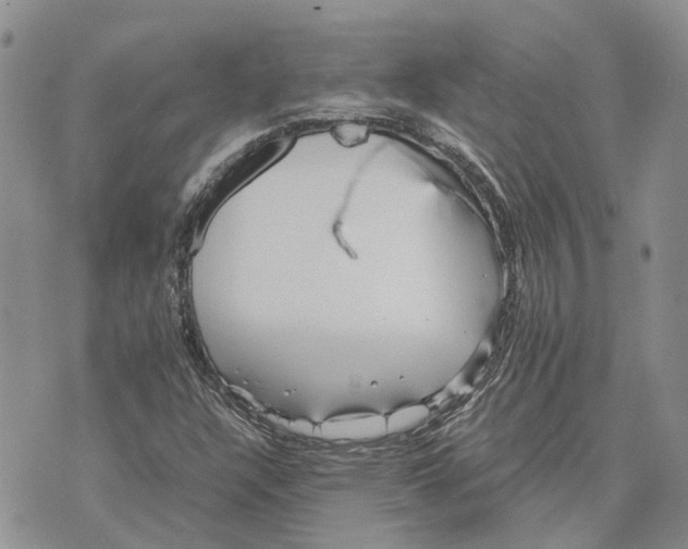 X0000070251304200606301616