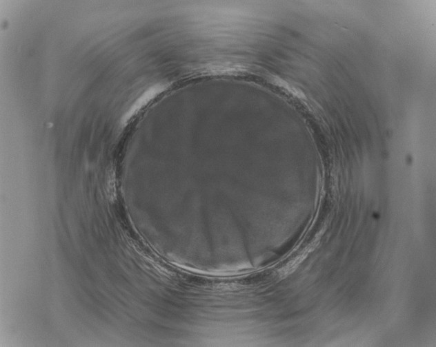 X0000070251306200606301616