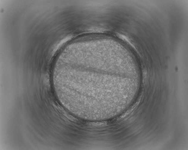 X0000070251307200606301616