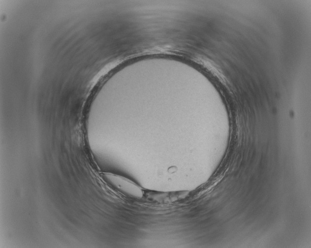 X0000070251308200606301616