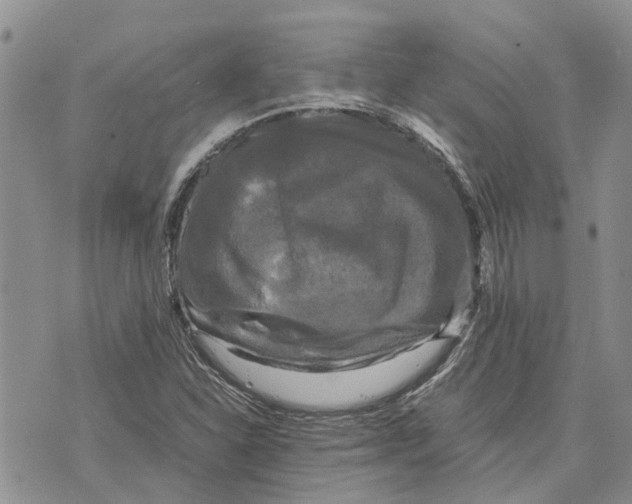 X0000070251310200606301616