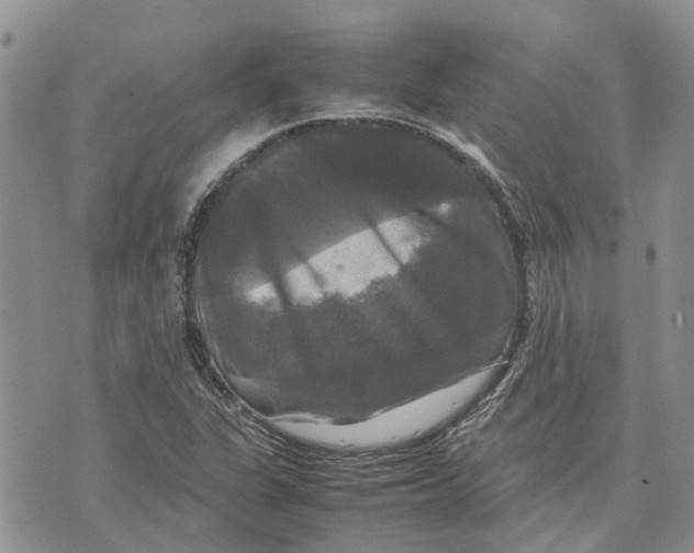 X0000070251311200606301616