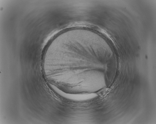 X0000070251312200606301616