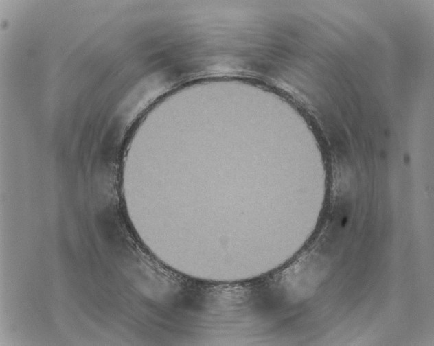 X0000070251314200606301616