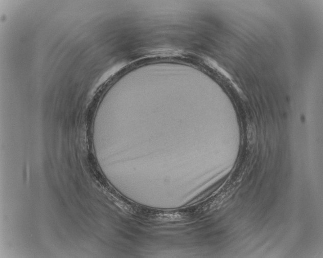 X0000070251315200606301616