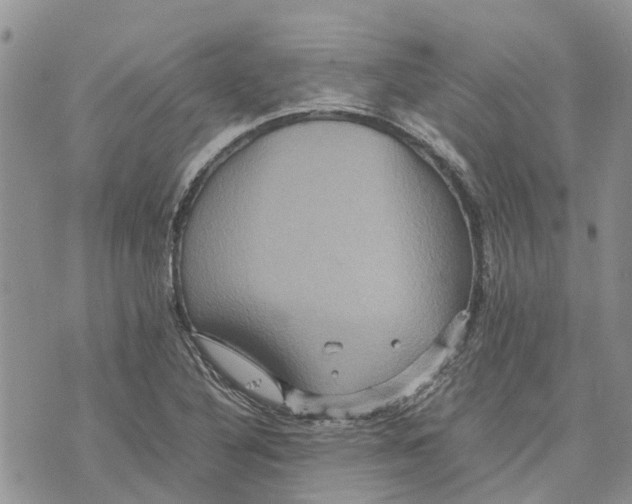 X0000070251316200606301616