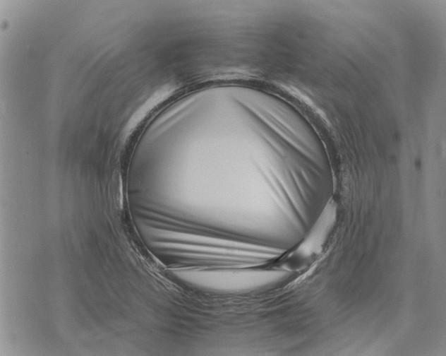 X0000070251317200606301616