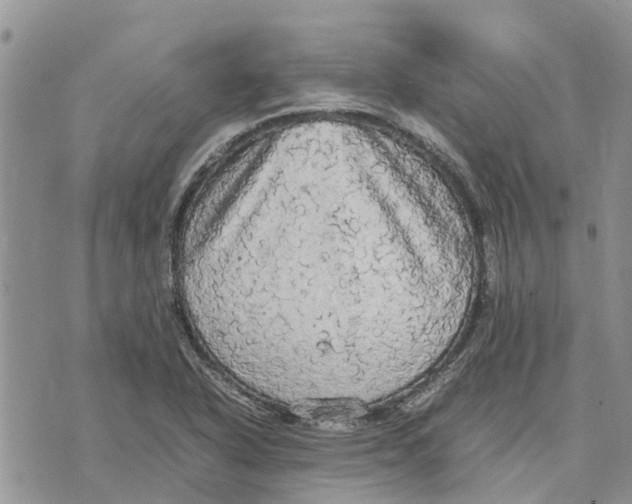 X0000070251318200606301616