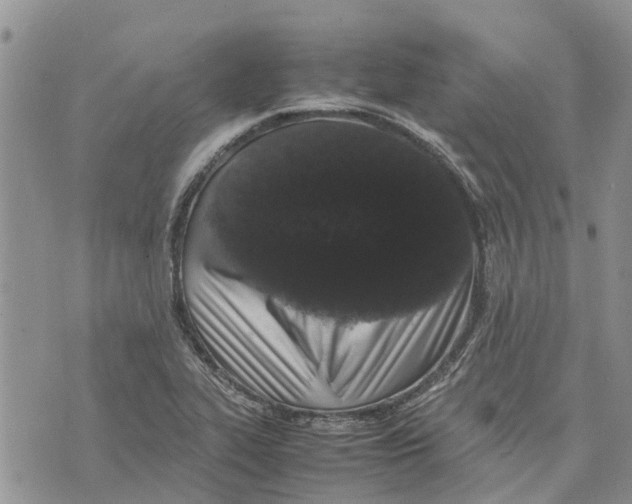 X0000070251319200606301616