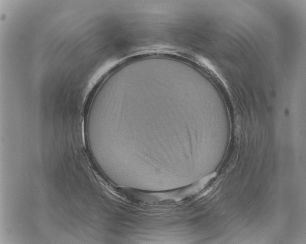 X0000070251320200606301616