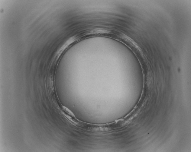 X0000070251321200606301616