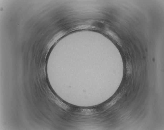 X0000070251322200606301616